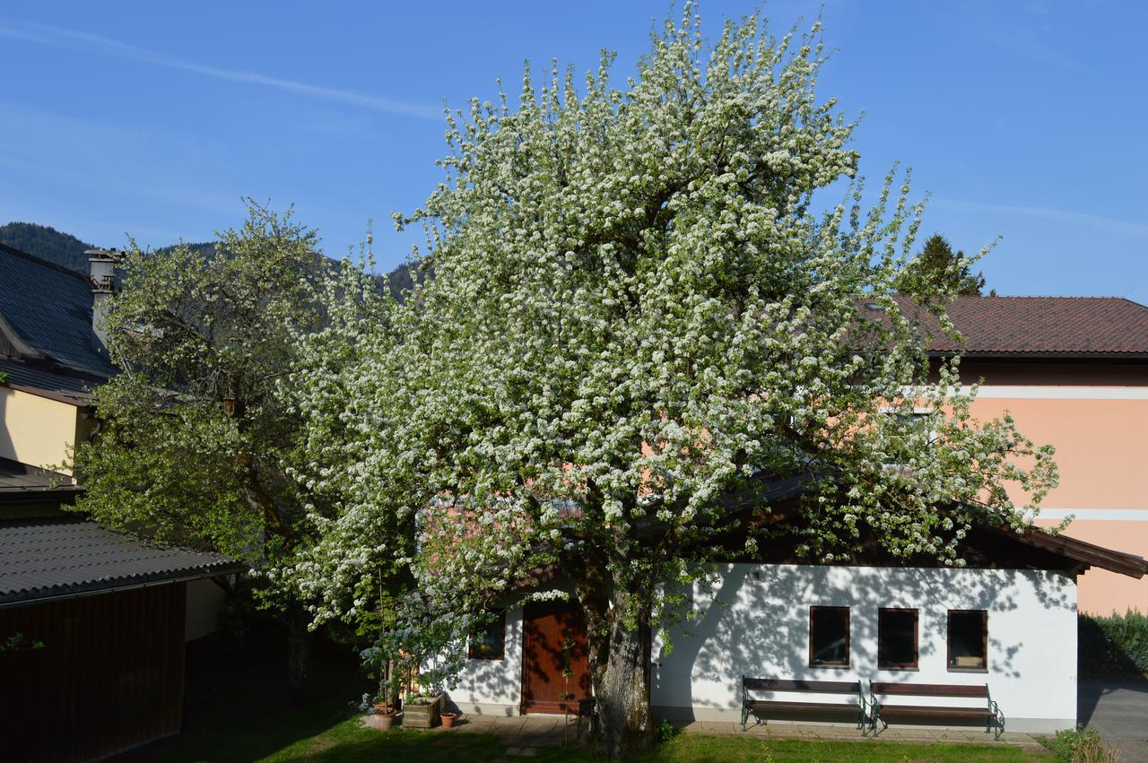 Hotel Haus Brigitte Fuschl am See Exteriér fotografie